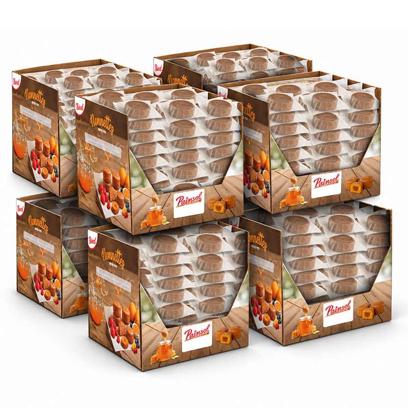 Carton de Mini Nonnettes individuelles 10g – 8 Parfums Assortis (480 unités)